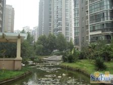 康桥物业 花园小区 复式带露台 看房方便