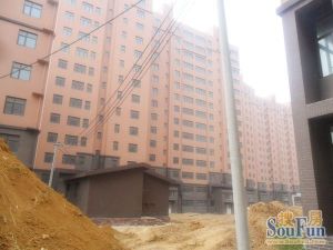 封闭小区精装小户型,楼层好采光好,捌十中,近地铁