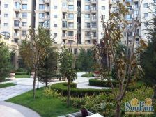 北京公园 配套成熟 绿化好 精装修 刚需改善型