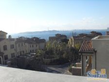 联排别墅 边户花园大 装修很好