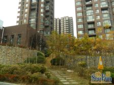 浪琴湾电梯房 二室二厅 南北通透