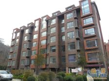 五一路市场 可看海 天然氧吧 采光好