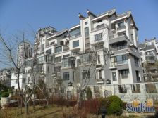 中间楼层,户型方正,采光视野好,诚意出售,看房方便