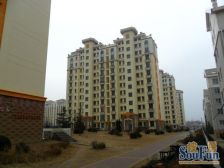 新加坡花园精装修2室楼层好采光充足,小洋房位置好。