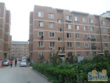 近 公交 地铁 商场 户型方正