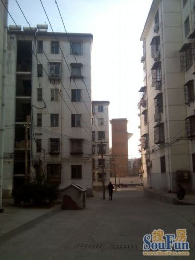 ÖñÁÖдå2ÊÒ1Ìü1ÎÀÄϱ±³¯Ïò700.00Ôª/Ô³ö×â