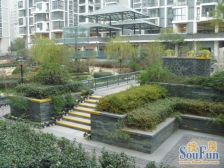 不临街不临路,中间楼层,采光好,业主诚心出售