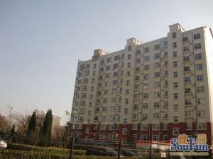 天地广场天地景苑小高层顶加阁露台种花种菜