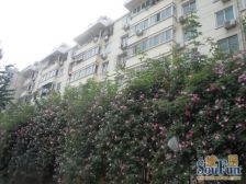 新上大两室 带产权地下室 有钥匙 价格可谈