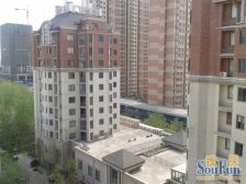 新,精装高品质装修,一室一厅,年轻人或养老直接入住