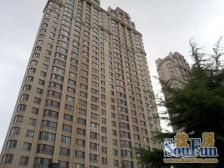 电梯小高后排清净 实用面积大 5平露台 秀月44 采光好