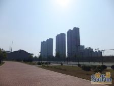 南北通透全明户型两室 厅带大阳台 落地窗 视野采光好