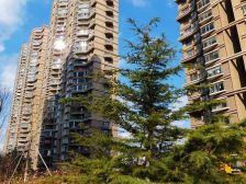 此房两梯两户 南北通透大三居前排位置 采光好户型正