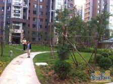 壹品天城 2室1厅 南 北