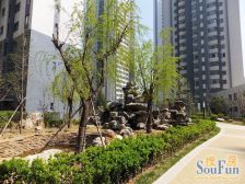 新希望家园 3室1厅 南 北