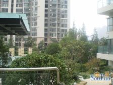 遥望大玉米楼 百万精装大4房 拎包入住业主诚心出售