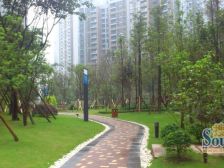 中交丽景 3室2厅 东南