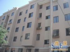 虎滩近渔人码头地铁口无坡 南北两室精装修 中间楼层