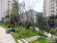 取暖面积158平 视野开阔 采光充足 精装修 拎包入住