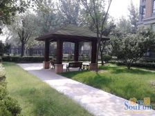 楼--王,凤凰楼层,全天采光,观景户型