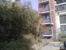 采光好的洋房,动静分离户型,弧形大落地,一眼万年