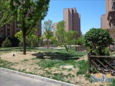 香悦四季西区1室1厅北