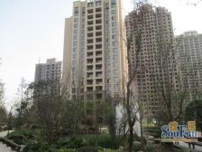 朝南别墅 小区中间位置 很安静 有地下室 2个车位 花园