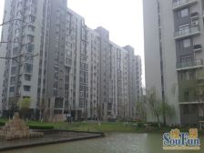 非顶楼、看房方便、户型方正、业主诚心出售