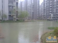 顶楼复式有露台,挑高客厅,算两层面积,实际三层。