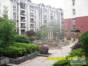 现代米罗(恒茂世纪花园) 南北通透,采光好 装修好,环镜优美 视野好,诚心出售