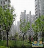 此房满五年,好楼层,好位置,产权车位,苏河公园