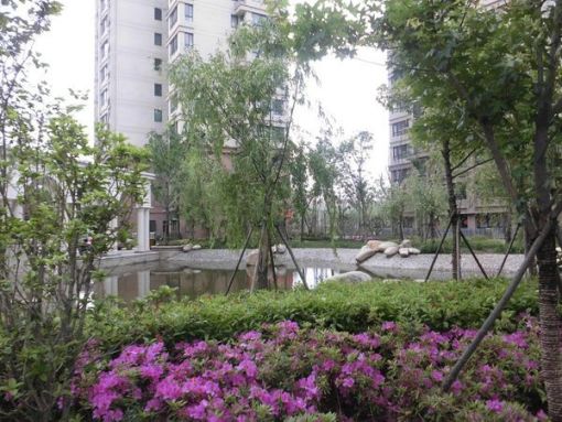 宝龙城市广场(李沧)2室1厅1卫南朝向2200.00元/月出