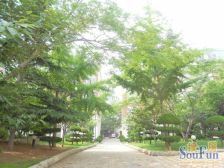 七十九双 中山公寓 封闭小区 大四室 南北通透 精装修