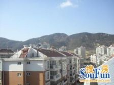 台湾村 3室2厅 南 北