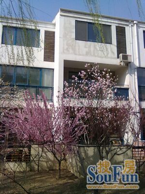 青青家园别墅