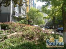 航海广场 小区高质量复式 有50平的露台