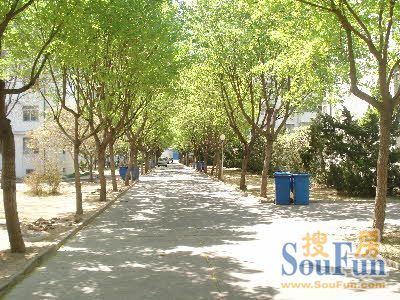 富华新村3室1厅1卫南北朝向800.00元/月出租