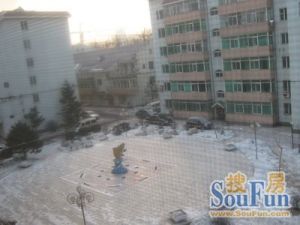 通达新村园区里改善型两南卧简单干净全天不挡光