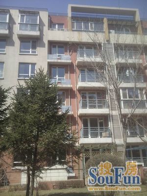 华山新区
