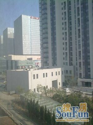 河东区万达广场2室1厅1卫南北朝向3800.00元/月出租
