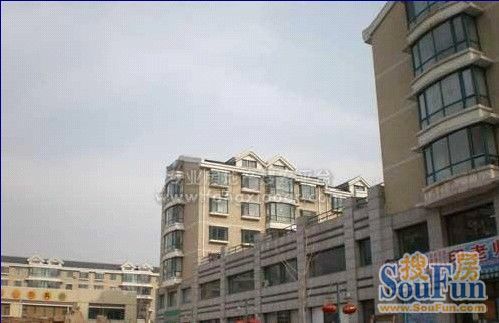 龙净都市晨光