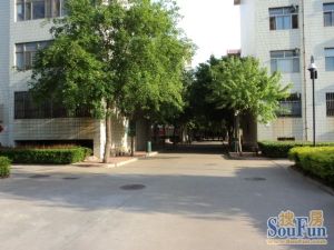 精装修带车位,3室朝阳,全明户型,南北通,地下室。