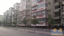 南厂住宅西区婚房精装修满五唯一看房方便