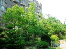 大园区,中间楼层,小区中间,五明户型