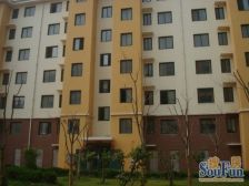 新大陆花园+双南卧+南北通透+单价低+西打头精装修