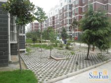 蓝爵世家,两室,业主诚心卖,看房方便,有个露台