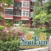 【总监推荐】东城2013年电梯楼70年产权民水民电管理好