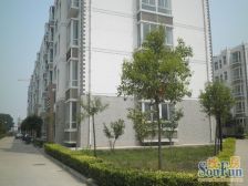 带电梯 大两房 高楼层视野无遮挡 产权清晰 正南朝向