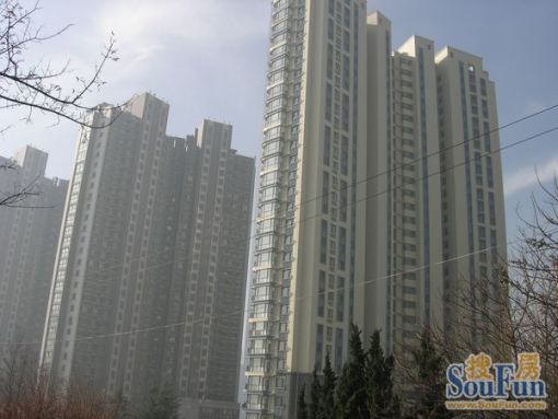 城建TOPTOWN鼎都1室1卫南朝向2000.00元/月出租
