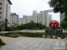 新希望花园 2室2厅 南